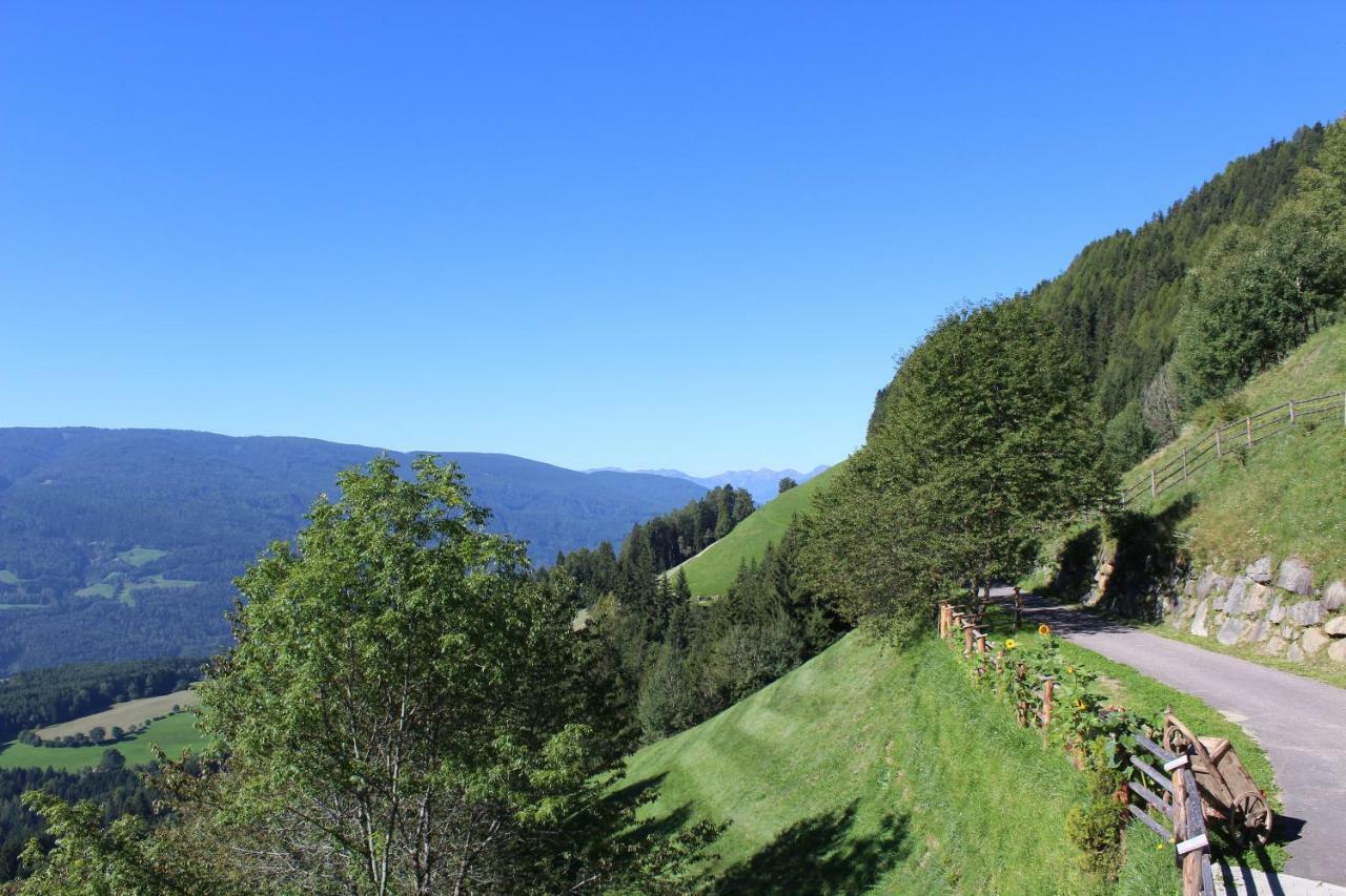 Leitnerhof Lägenhet Terenten Exteriör bild